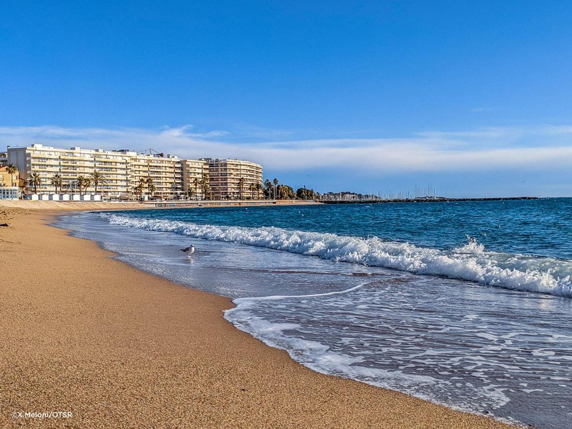 Appartement 2P, 4 Couchages, Terrasse Et Salon De Jardin A 200M De La Plage, Frejus - Fr-1-226A-22 Экстерьер фото